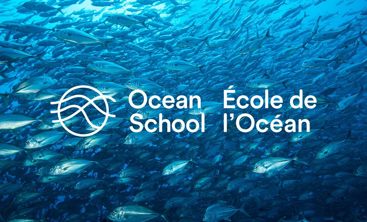 Ocean School 1