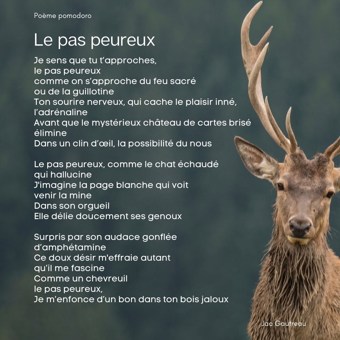 Poème du 2020-11-05