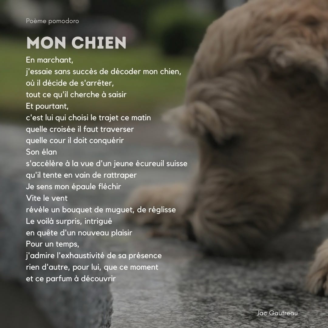 Poème du 2020-11-13