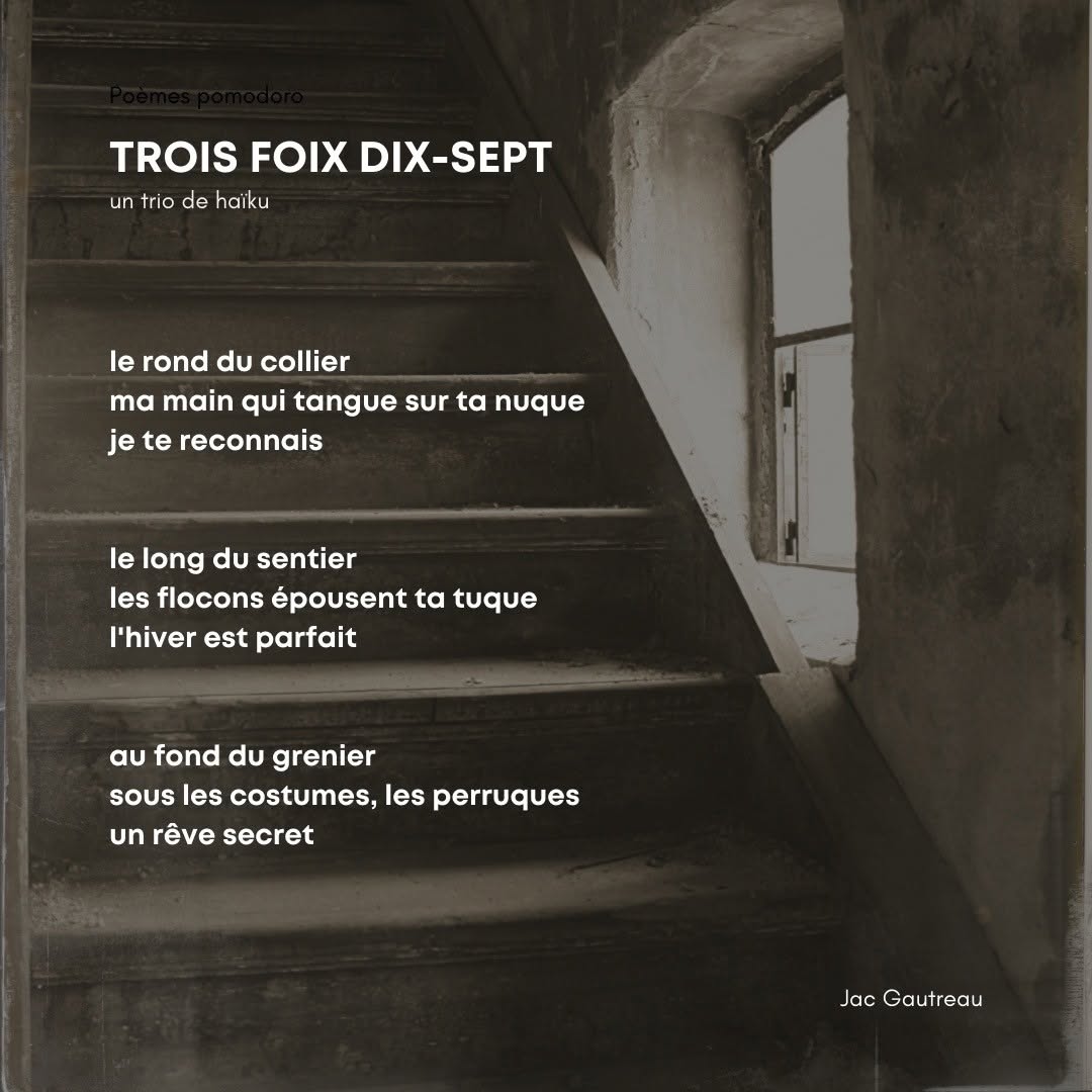 Poème du 2020-11-29