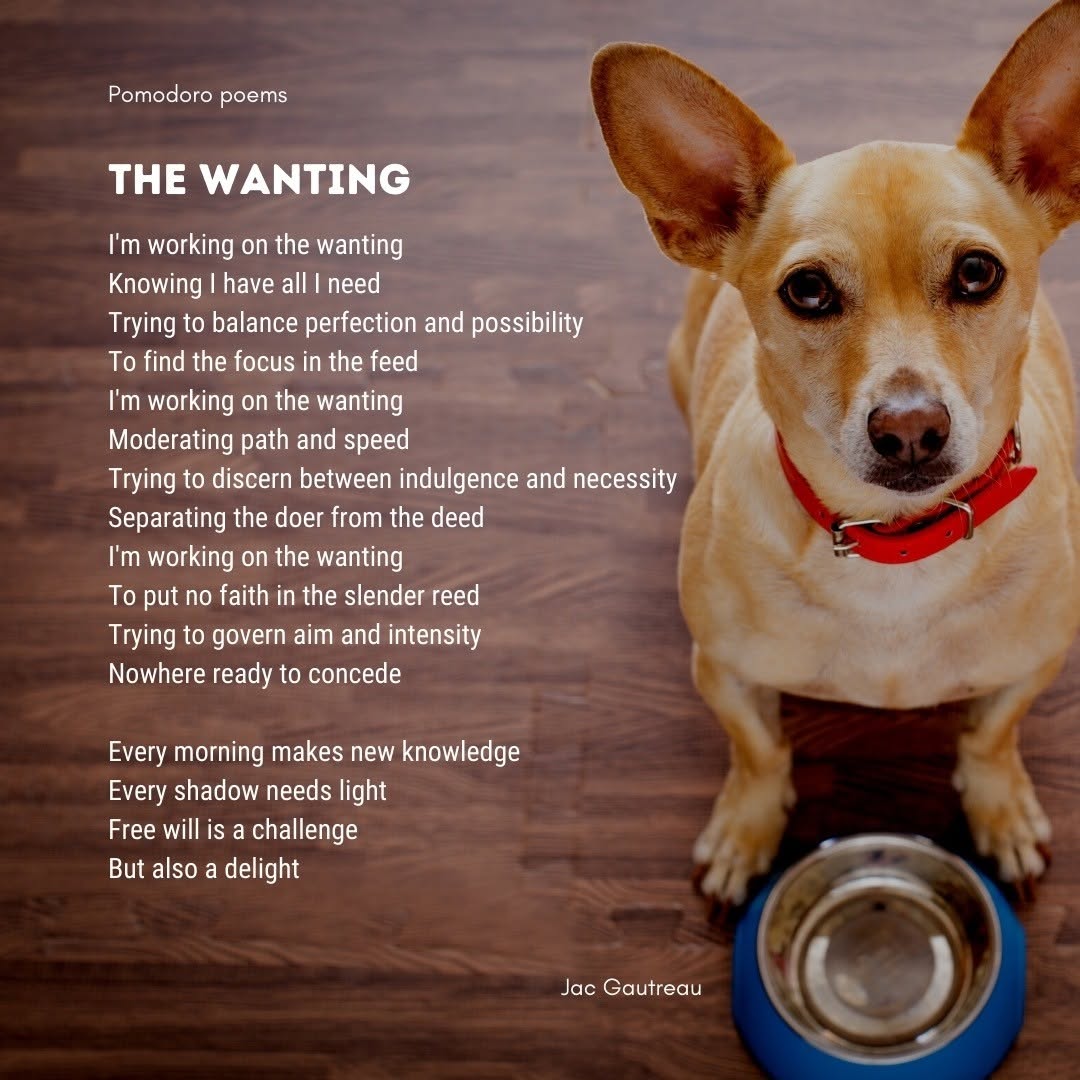 Poème du 2021-01-31