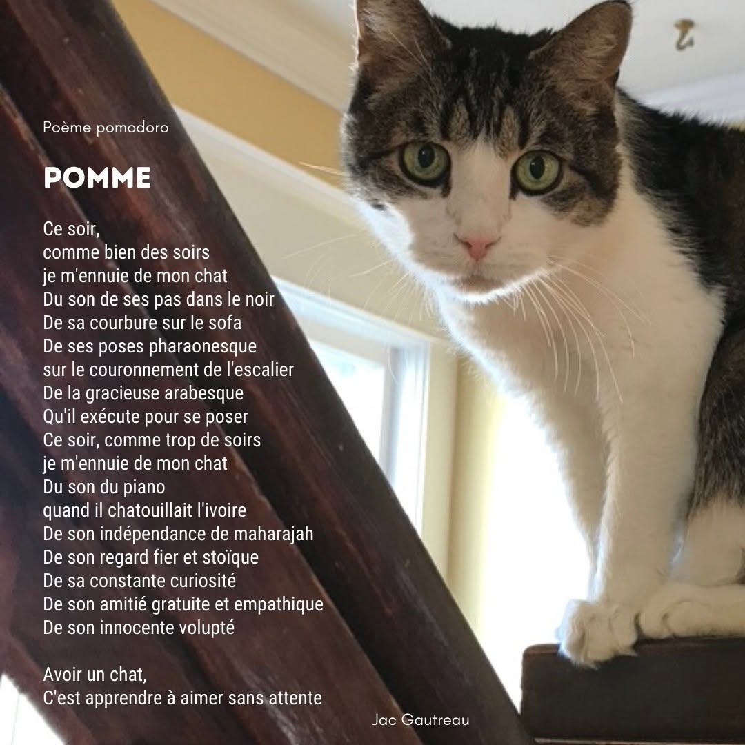 Poème du 2021-02-03