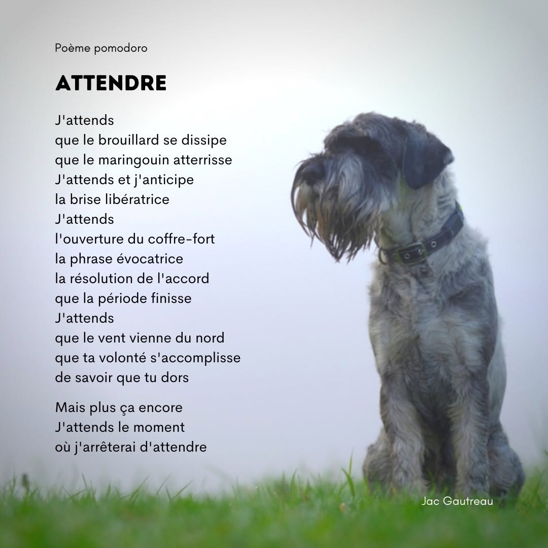 Poème du 2021-05-26