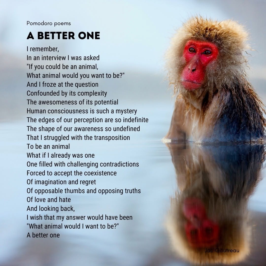 Poème du 2021-07-24