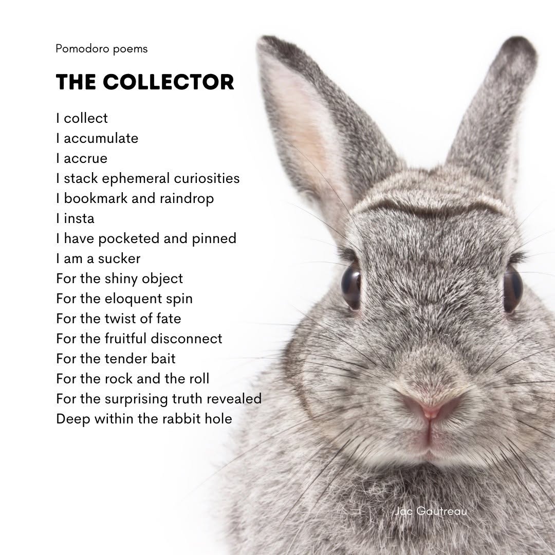 Poème du 2021-08-17